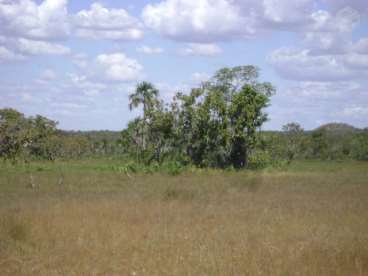 Fazenda em palmas - to