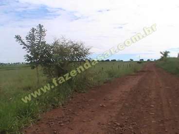 Fazenda em paranaiguara - go. com 1.000 hectares