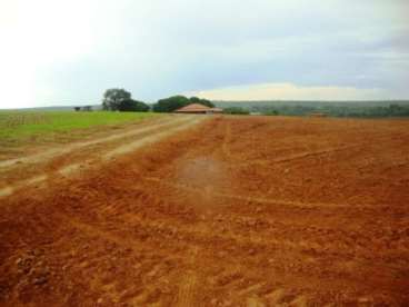 Fazenda em paranatinga mt 1.500ha