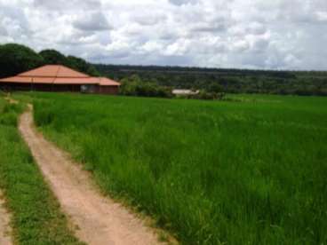 Fazenda em paranatinga mt 1.500ha