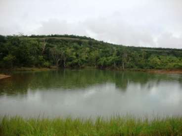 Fazenda em paranatinga mt 1.500ha