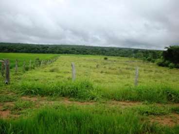 Fazenda em paranatinga mt 1.500ha