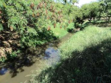 Fazenda em paranatinga mt 8523 ha