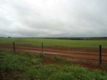 Fazenda em pecuária podendo ser lavoura