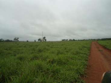 Fazenda em pecuária podendo ser lavoura