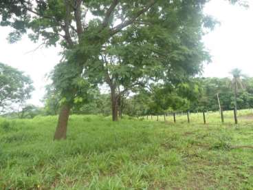 Fazenda em pecuária podendo ser lavoura