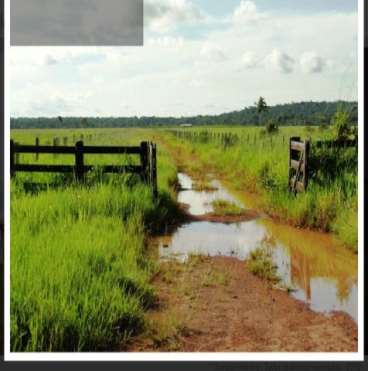 Fazenda em peixoto de azevedo mt