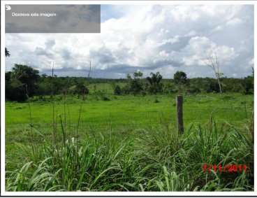 Fazenda em peixoto de azevedo mt