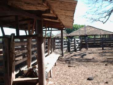 Fazenda em porangatu - go, 580 hectares