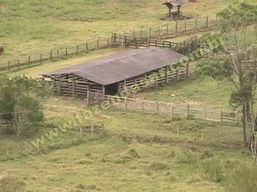 Fazenda em pouso alegre - mg. com 70 alqueires