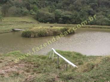 Fazenda em pouso alegre - mg. com 70 alqueires