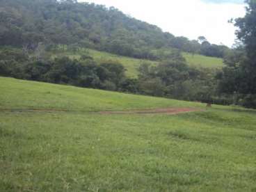 Fazenda em prata mg para pecuária 542 ha