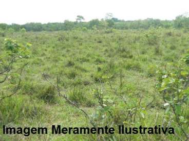 Fazenda em rio sono - tocantins