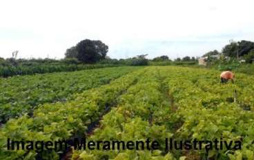 Fazenda em rio sono - tocantins