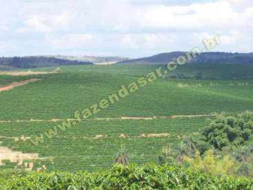 Fazenda em ritápolis - mg. com 653 hectares