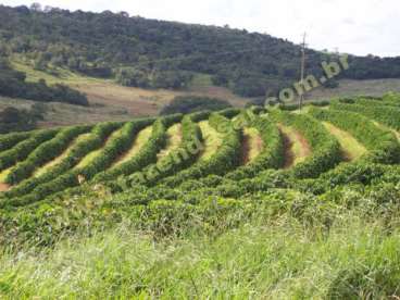 Fazenda em ritápolis - mg. com 653 hectares
