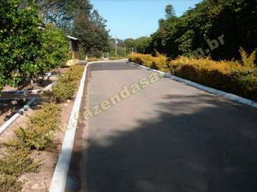 Fazenda em santo antonio do amparo - minas gerais