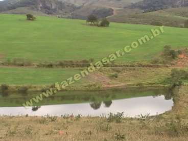 Fazenda em sao goncalo do sapucaí - mg. com 42 alq