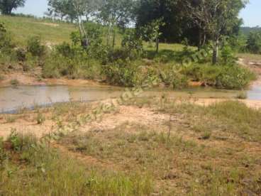 Fazenda em sao joaquim - mt. 8.800 ha