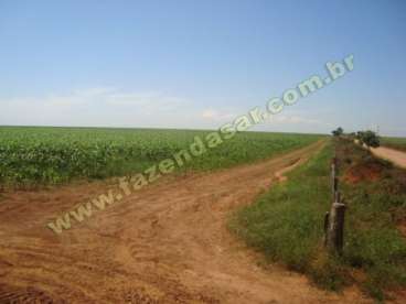 Fazenda em sao joaquim - mt. 8.800 ha