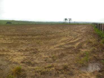 Fazenda em sao josé do xingu - excelente para soja