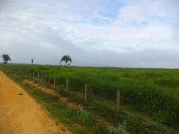 Fazenda em sao josé do xingu - excelente para soja