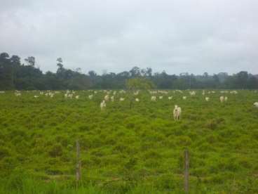 Fazenda em sao josé do xingu - excelente para soja