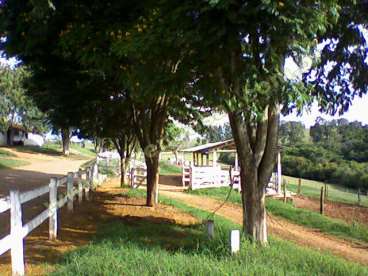 Fazenda em sao vicente de minas - minas gerais