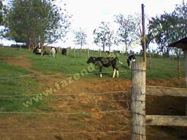 Fazenda em sao vicente de minas - minas gerais