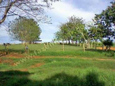 Fazenda em sao vicente de minas - minas gerais