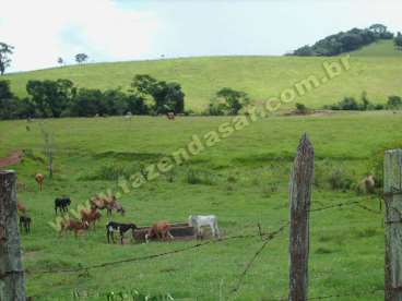 Fazenda em serra negra - sp. com 80 alqueires