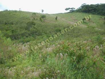 Fazenda em serra negra - sp. com 80 alqueires