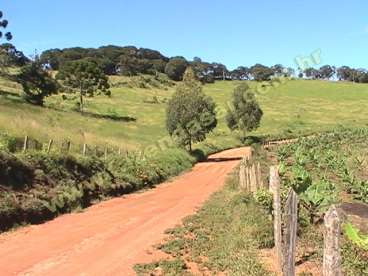 Fazenda em socorro - sp. com 54 alqueires