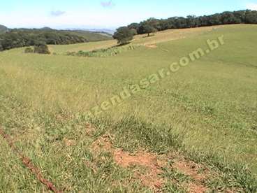 Fazenda em socorro - sp. com 54 alqueires