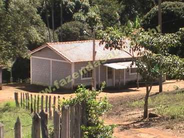 Fazenda em socorro - sp. com 54 alqueires