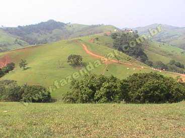 Fazenda em socorro - sp. com 66 alqueires