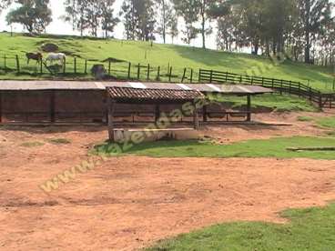 Fazenda em socorro - sp. com 66 alqueires