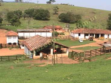 Fazenda em socorro - sp. com 66 alqueires