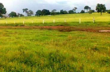 Fazenda em taipas - to