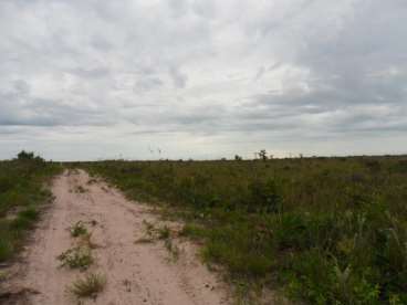 Fazenda em tangara da serra 1209 ha