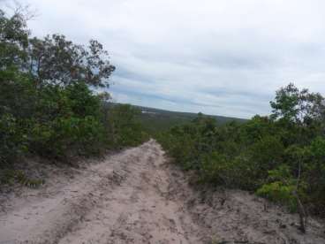 Fazenda em tangara da serra 1209 ha