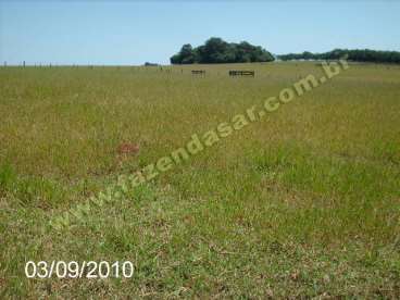 Fazenda em tatuí - sp. com 80 alqueires