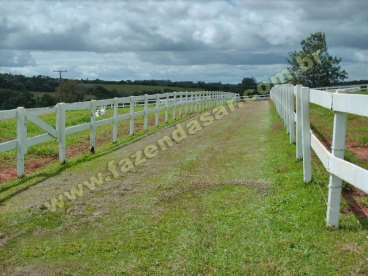 Fazenda em tatuí - sp. com 84 alqueires