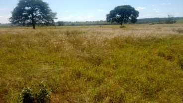 Fazenda em uberlandia, oportunidade única