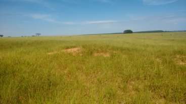 Fazenda em uberlandia, oportunidade única