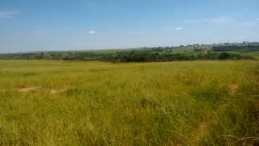 Fazenda em uberlandia, oportunidade única