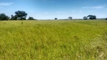 Fazenda em uberlandia, oportunidade única