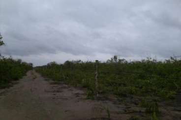 Fazenda em urucuí - piauí