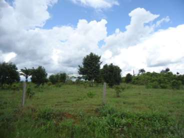 Fazenda em xingu - mt