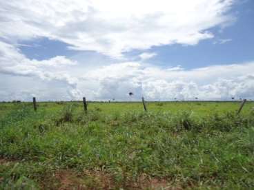 Fazenda em xingu - mt